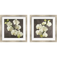 Framed 'Orchids on Grey Background 2 Piece Framed Art Print Set' border=