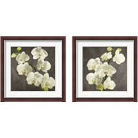 Framed Orchids on Grey Background 2 Piece Framed Art Print Set