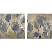 Framed 'Grey Tulips 2 Piece Art Print Set' border=