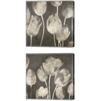 Framed 'Washed Tulips 2 Piece Canvas Print Set' border=