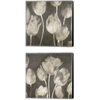 Framed Washed Tulips 2 Piece Canvas Print Set