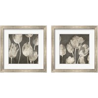 Framed 'Washed Tulips 2 Piece Framed Art Print Set' border=