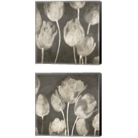 Framed Washed Tulips 2 Piece Canvas Print Set