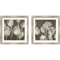Framed 'Washed Tulips 2 Piece Framed Art Print Set' border=