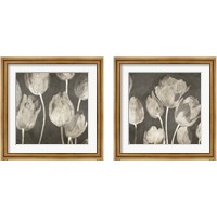 Framed Washed Tulips 2 Piece Framed Art Print Set