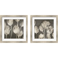 Framed 'Washed Tulips 2 Piece Framed Art Print Set' border=