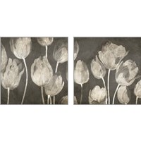 Framed Washed Tulips 2 Piece Art Print Set