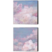 Framed 'Daydream Pink 2 Piece Canvas Print Set' border=