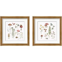 Framed Forest Treasures 2 Piece Framed Art Print Set