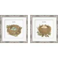 Framed Spring Nest 2 Piece Framed Art Print Set