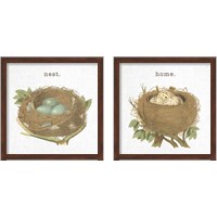 Framed Spring Nest 2 Piece Framed Art Print Set