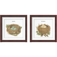 Framed 'Spring Nest 2 Piece Framed Art Print Set' border=