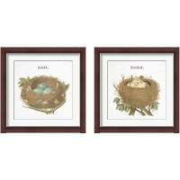 Framed Spring Nest 2 Piece Framed Art Print Set