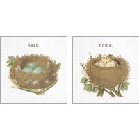 Framed Spring Nest 2 Piece Art Print Set