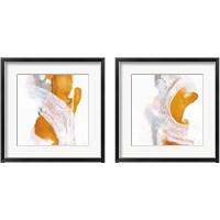 Framed Amber Wash 2 Piece Framed Art Print Set