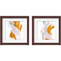 Framed 'Amber Wash 2 Piece Framed Art Print Set' border=
