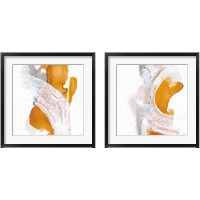 Framed 'Amber Wash 2 Piece Framed Art Print Set' border=