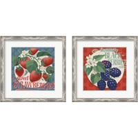 Framed Berry Breeze 2 Piece Framed Art Print Set