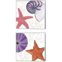 Framed 'Shimmering Shells 2 Piece Canvas Print Set' border=