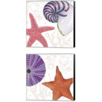 Framed 'Shimmering Shells 2 Piece Canvas Print Set' border=