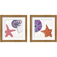 Framed 'Shimmering Shells 2 Piece Framed Art Print Set' border=