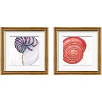 Framed Shimmering Shells 2 Piece Framed Art Print Set