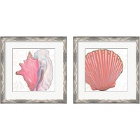 Framed 'Shimmering Shells 2 Piece Framed Art Print Set' border=