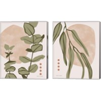 Framed 'Restore Eucalyptus 2 Piece Canvas Print Set' border=