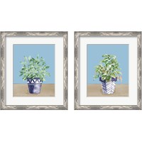 Framed 'Herb Garden 2 Piece Framed Art Print Set' border=