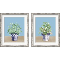 Framed 'Herb Garden 2 Piece Framed Art Print Set' border=