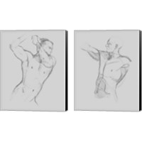 Framed Male Torso Sketch 2 Piece Canvas Print Set