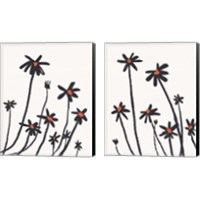 Framed 'Young Coneflowers 2 Piece Canvas Print Set' border=