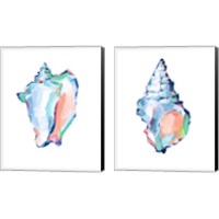Framed 'Pop Shell Study 2 Piece Canvas Print Set' border=