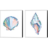 Framed Pop Shell Study 2 Piece Canvas Print Set