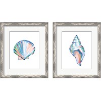 Framed Pop Shell Study 2 Piece Framed Art Print Set