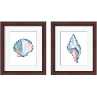 Framed Pop Shell Study 2 Piece Framed Art Print Set
