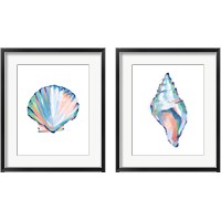 Framed Pop Shell Study 2 Piece Framed Art Print Set