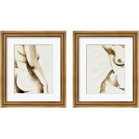 Framed Comfortable  2 Piece Framed Art Print Set