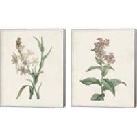 Framed 'Classic Botanicals 2 Piece Canvas Print Set' border=