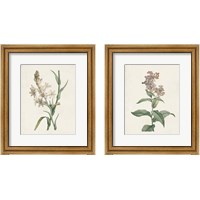 Framed Classic Botanicals 2 Piece Framed Art Print Set