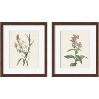 Framed 'Classic Botanicals 2 Piece Framed Art Print Set' border=