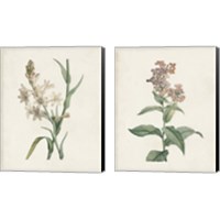 Framed 'Classic Botanicals 2 Piece Canvas Print Set' border=