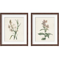 Framed Classic Botanicals 2 Piece Framed Art Print Set