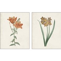 Framed Classic Botanicals 2 Piece Art Print Set