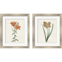 Framed 'Classic Botanicals 2 Piece Framed Art Print Set' border=