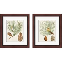 Framed 'Antique Pine Cones 2 Piece Framed Art Print Set' border=