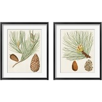 Framed Antique Pine Cones 2 Piece Framed Art Print Set