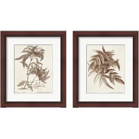 Framed Sepia Fern Varieties 2 Piece Framed Art Print Set