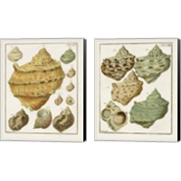 Framed 'Pastel Shell Pair 2 Piece Canvas Print Set' border=