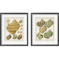 Framed 'Pastel Shell Pair 2 Piece Framed Art Print Set' border=